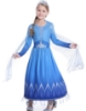Picture of Frozen 2 Princess Elsa Dress Costume BOOK WEEK