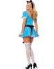 Picture of Womens Alice in Wonderland Fancy Dress Costume