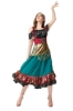 Picture of Starlight Gypsy Womens Costume