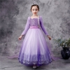 Picture of Frozen2 Elsa Purple Dress for BOOK WEEK