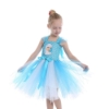 Picture of Girls Frozen Elsa Tutu Dres for Book Week