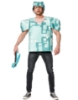 Picture of Adult Minecraft Armour Costume