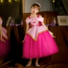 Picture of Girls Sleeping Beauty Princess Aurora Dress Costume 