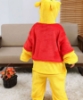 Picture of  Kids Winnie The Pooh Onesie