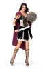Picture of Womens Gladiator Roman Warrior Costume
