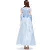 Picture of Women's Deluxe Princess Cinderella Dress Costume